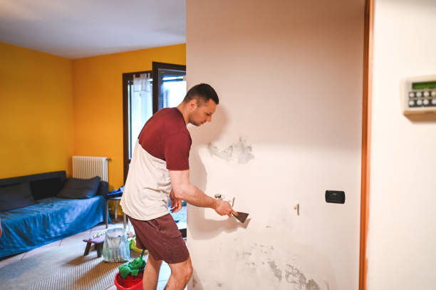 Best Crawl Space Mold Removal  in Millville, NJ